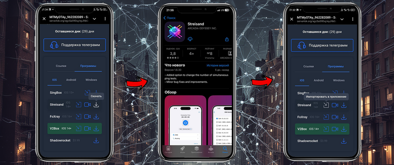 Файл:Streisand install app ios.webp