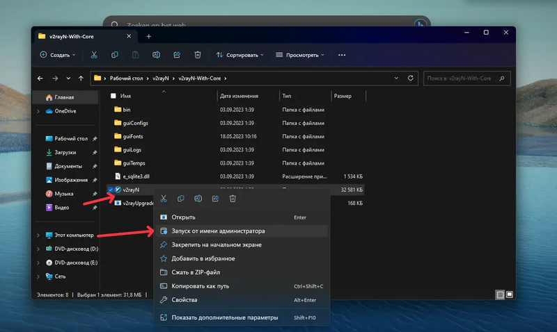 Файл:V2rayn 1.webp
