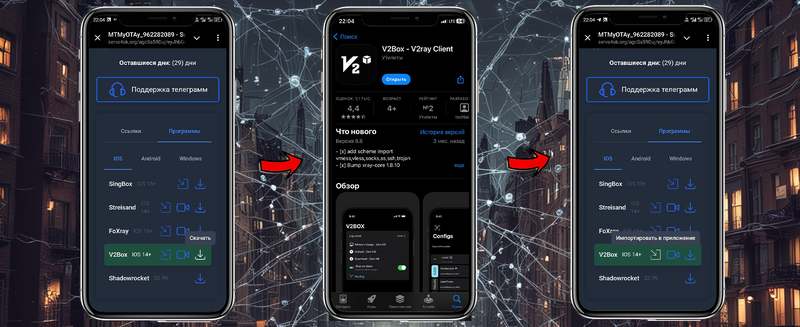 Файл:V2box ios.png